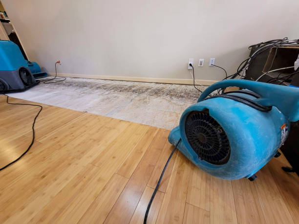 Professional Water Extraction technician working in Tremont, IL